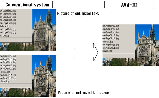 Conventional system - Picture of optimized text, Picture of optimized landscape. AVM3
