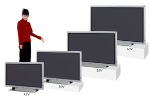 "Plasmavision®W" Display model
