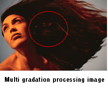 Multi gradation processing image  / Hight resolution image with click