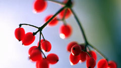 Image is comfortable for your eyes-Image