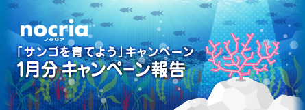 ノクリア「サンゴを育てよう」キャンペーン 1月分　キャンペーン報告