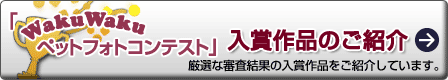 入賞作品のご紹介ページへ。厳選な審査結果の入賞作品をご紹介しています。