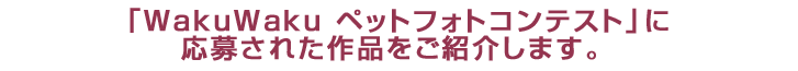 「Waku Wakuペットフォトコンテスト」に応募いただいた作品をご紹介します。