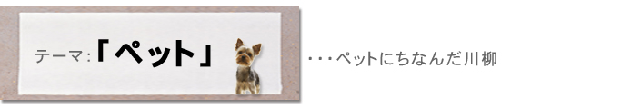 テーマ：「ペット」・・・ペットにちなんだ川柳