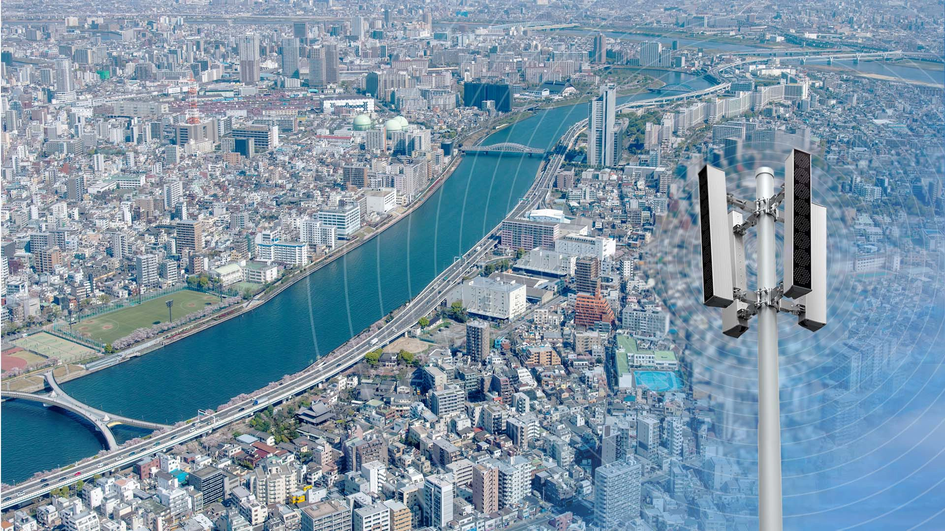 SIAFOLSのイメージ