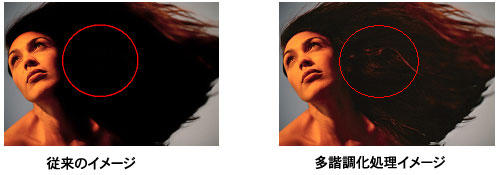 従来のイメージと多諧調化処理したイメージの比較図