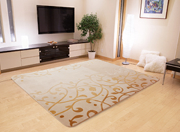 HC-30B3H設置例イメージ写真