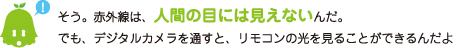 [ノックさん] ：そう。赤外線は、人間の目には見えないんだ。でも、デジタルカメラを通すと、リモコンの光を見ることができるんだよ