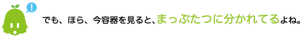 [ノックさん] ：でも、ほら、今容器を見ると、まっぷたつに分かれてるよね。
