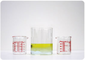 [写真] ：実験の様子