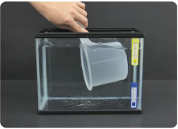 [写真] ：実験の様子