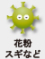 花粉