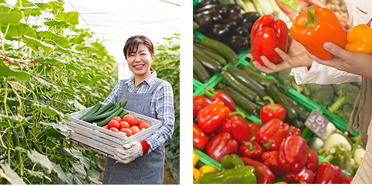 産地直送販売イメージ