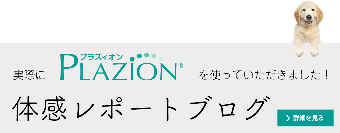 体感レポート 詳細を見る