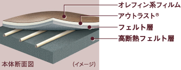 本体断面図（イメージ）