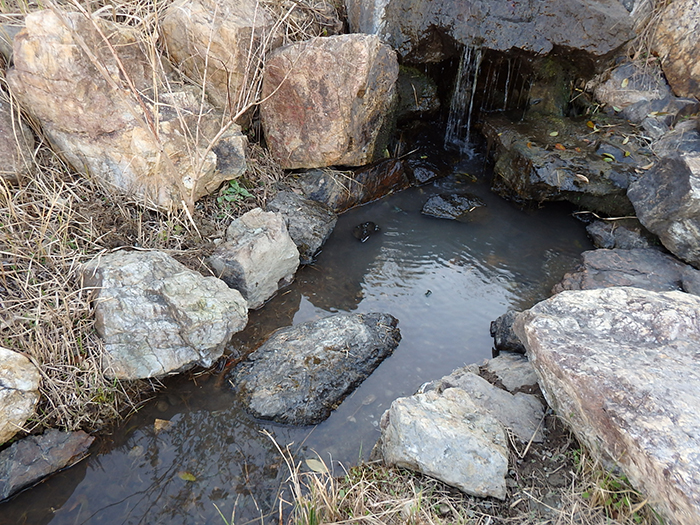 源流部 除草後に石を設置