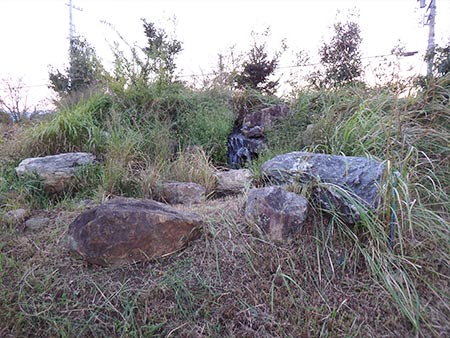 源流部　草刈り後