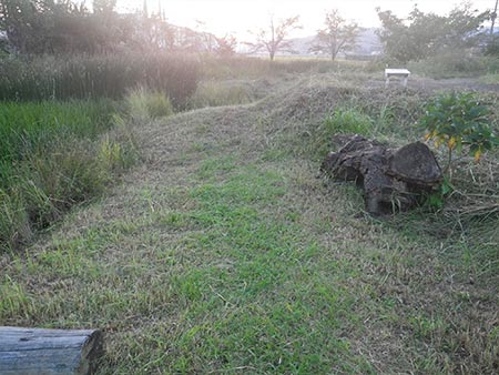 池周辺 草刈り後
