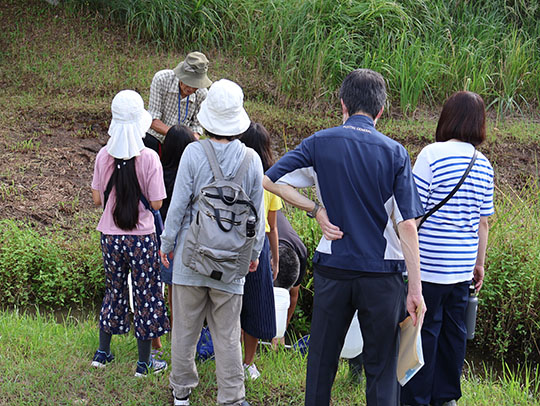 ヤマトミクリ抜き取り作業前