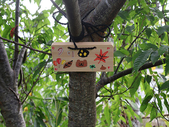 発見したウシガエル(特定外来生物)